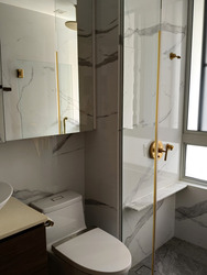 The Lucent (D15), Apartment #541962501